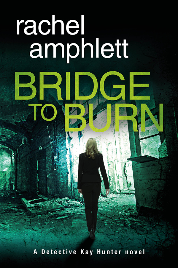 Bridge to Burn Cover MEDIUM WEB Bridge to Burn Cover MEDIUM WEB