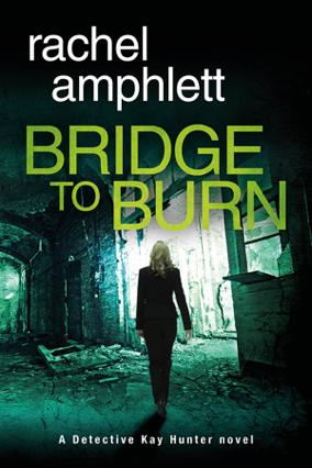 Cover image for Bridge to Burn