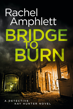 Cover image for Bridge to Burn 300x450 pixels