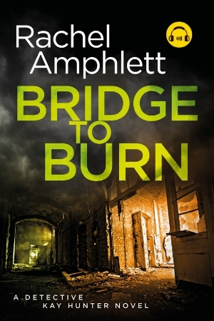 Image shows book cover for Bridge to Burn with an audiobook icon