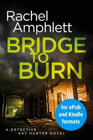 Image shows book cover for Bridge to Burn for ePub and Kindle formats