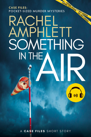 Something in the Air audiobook cover showing an airfield wind sock