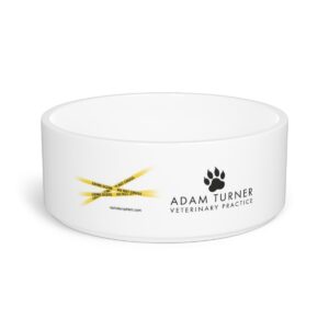 Pet Bowl
