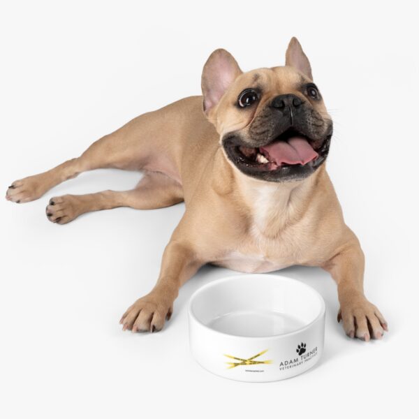 Pet Bowl - Image 5