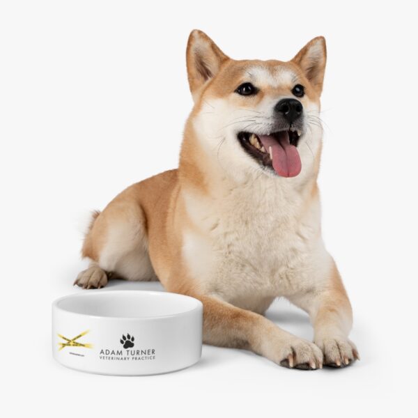 Pet Bowl - Image 6